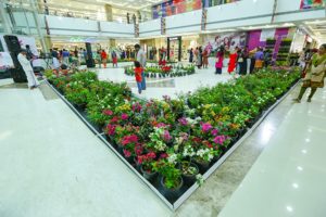 y-mall_flower-festival06